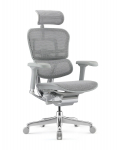 Fotel Ergohuman 2 Elite GS Grey