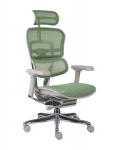 Fotel Ergohuman 2 Elite GS Green