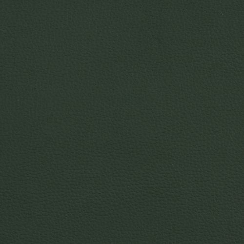 Fotel obrotowy BEGIN AM/TM-251-262 - SK1-050 ciemny zielony