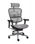 Fotel Ergohuman 2 Elite BS Grey