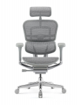 Fotel Ergohuman 2 Elite GS Grey