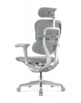 Fotel Ergohuman 2 Elite GS Grey