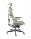 Fotel Ergohuman 2 Elite GS Green