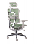 Fotel Ergohuman 2 Elite ST GS Green