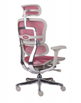 Fotel Ergohuman 2 Elite GS Pink